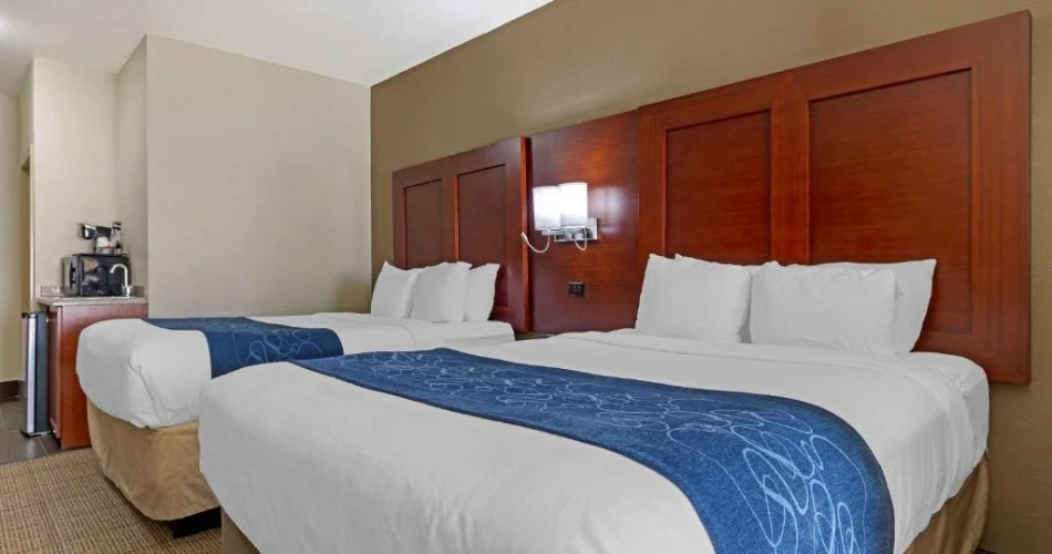 Paws and Stay: Top Pet-Friendly Hotels Near Winstar Casino, Thackerville